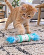 Chaton roux jouant avec le jouet électrique à plumes