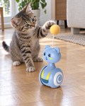 Chaton jouant avec le culbuto ourson
