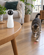 Laser automatique pour chat posé sur une table basse