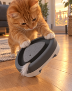Chat roux cherchant la plume cachée