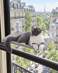 Chat sur un hamac de fenêtre à ventouses à Paris