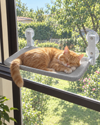 Chat roux dormant au soleil sur le hamac de fenêtre