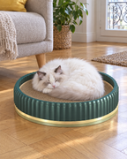 Chat blanc dormant dans le griffoir rond vert