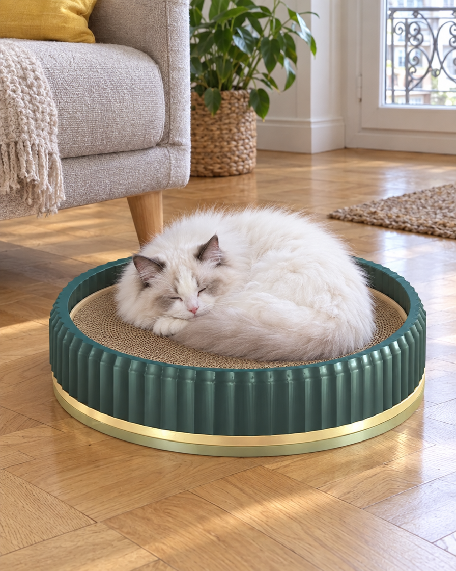 Chat blanc dormant dans le griffoir rond vert