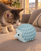 Chaton découvrant la brosse hérisson