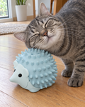 Chat se frottant contre la brosse hérisson