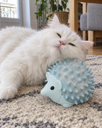 Chat blanc se massant sur la brosse hérisson