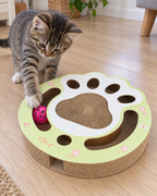 Chaton jouant avec la balle du griffoir patte