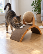 Chat tigré griffant le griffoir en arche