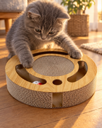 Chaton gris jouant avec le griffoir circuit