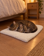 Chat et chaton dormant sur le tapis auto-chauffant