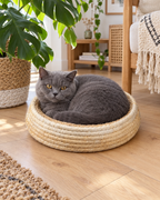 Chat gris dans le nid tressé en paille naturelle