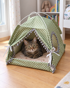 Chat tigré dans la tente cabane
