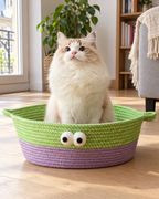 Chat crème assis dans le panier en corde tressée