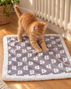 Chaton roux pétrissant le plaid