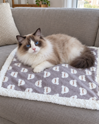 Chat Ragdoll sur le plaid à bordure sherpa