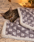 Chat tigré dormant sous le plaid doux