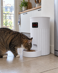Chat mangeant au distributeur de croquettes programmable