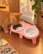 Chaton roux mangeant dans la double gamelle
