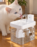 Chat blanc buvant au filet d'eau de la fontaine