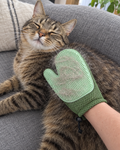 Chat tigré caressé avec le gant de toilettage