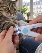 Coupe des griffes d'un chat avec le coupe-griffes LED