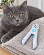 Coupe-griffes à LED posé près d'un chat gris