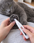 Tonte des poils entre les coussinets d'un chat