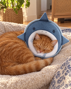 Chat roux dormant avec la collerette requin