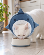 Chat blanc mangeant avec sa collerette souple