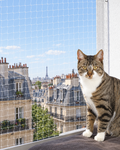 Chat en sécurité sur un balcon parisien protégé par un filet
