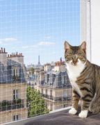 Chat en sécurité sur un balcon parisien protégé par un filet