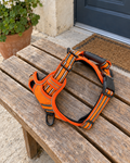 Harnais Anti-Traction Balade Sereine – coloris Orange