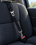 Attache Ceinture Voiture Sécurité – coloris Noir