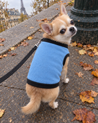 Gilet Polaire Petit Malin – coloris Bleu