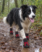 Bottes Caoutchouc Flaques (x4) – coloris Rouge