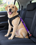 Attache Ceinture Voiture Sécurité – coloris Violet