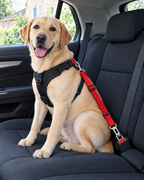 Attache Ceinture Voiture Sécurité – coloris Rouge