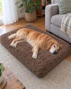 Coussin Mémoire Onde Douce – coloris Marron
