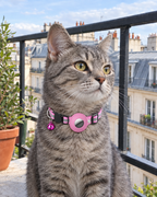 Collier Réfléchissant Porte-AirTag Traceur – coloris Rose