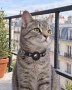 Collier Réfléchissant Porte-AirTag Traceur – coloris Noir
