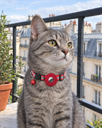 Collier Réfléchissant Porte-AirTag Traceur – coloris Rouge