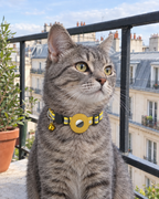 Collier Réfléchissant Porte-AirTag Traceur – coloris Jaune