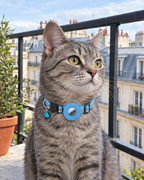 Collier Réfléchissant Porte-AirTag Traceur – coloris Bleu ciel
