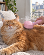 Brosse Vapeur Brume Douce – coloris Rose