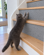 Tapis Griffoir Adhésif Sur-Mesure – coloris Gris clair