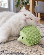 Hérisson Masseur Câlin – coloris Vert