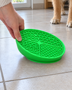 Gamelle Lente Silicone Spirale – coloris Vert