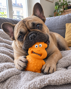 Monstre à Mâcher Croc – coloris Orange
