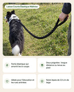 Laisse Courte Élastique Maîtrise – points forts